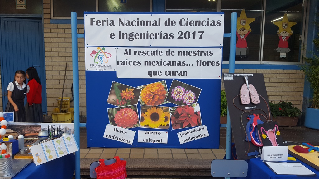 Cartel de la Feria Nacional de Ciencias e Ingenierías 2017,
 Nivel  Bachillerato,
